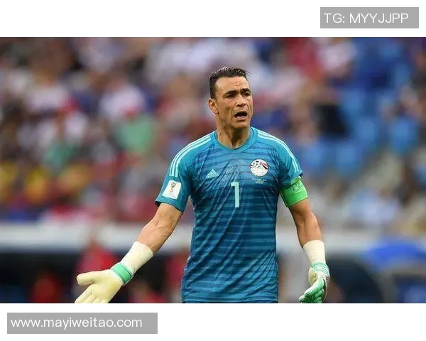 非洲足球球星实力排名盘点各国代表人物及其成就解析